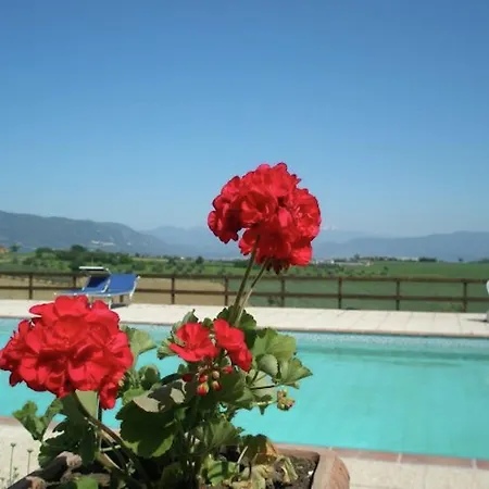Bellavista