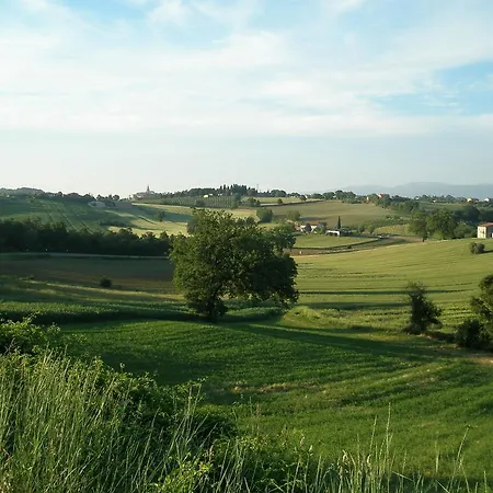 Bellavista